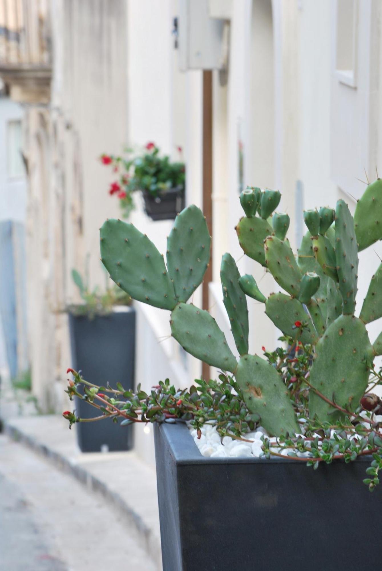 A Casa Di Grazia Acomodação com café da manhã Ragusa Exterior foto